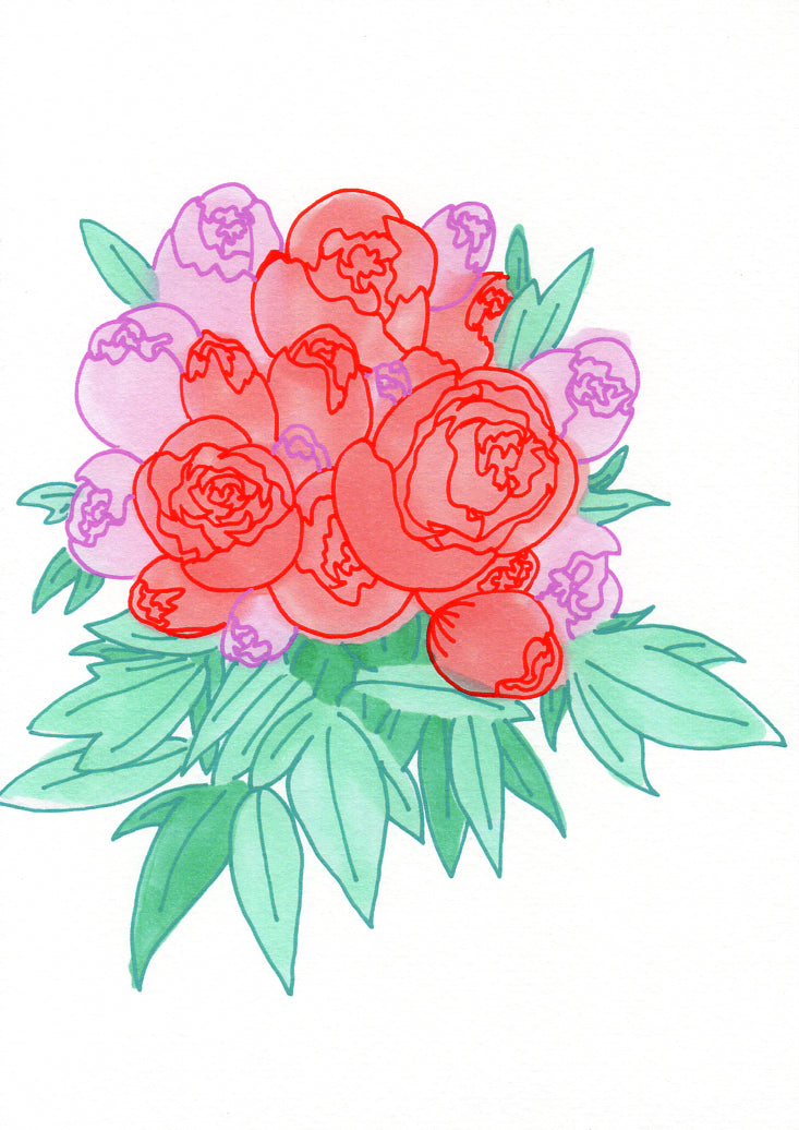 Peonies for Marie